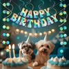 Happy Birthday Banner Iridescent Party Decorations, Fufuddz Funny Birthday Sign,