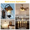 (12pack) 60W Incandescent Torpedo Tip Chandelier - 60W Equivalent Medium