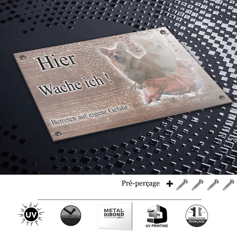 Warnschild Hund oder Warnzeichen Welsh Corgi Pembroke 20 cm