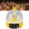 Mini Egg Incubator for Home Automatic Temperature Humidity Control 4