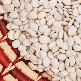 Henderson Bush Lima Bean - 50 Seeds - Heirloom White Butterbean Variety, USA-Grown, Non-GMO Baby Lima Bean Seeds for Planting Outdoors in The Home Garden, Thresh Seed Company