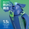Thermos FHT-1502F BLGR Vacuum Insulated Sports Bottle, 0.3 gal (1.5