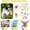 Tail Twist Dog Toys Bundle - 25 Pack Teething Toys,
