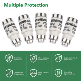 Wengart Spiral Ceramic Fuse D02 E18, 10 Pieces 250VDC/400VAC gG Type Suitable for Household and Industrial Electrical Equipment (25A)