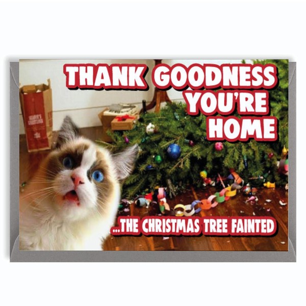 Cheeky Chops Cat Christmas Card Cat and Christmas Tree from the cat XM362, Multi