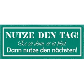 Schatzmix Saying "Use the Day" Metal Sign Wall Decoration 27 x 10 cm Tin Sign Tin Sign Sheet Metal Multi-Coloured