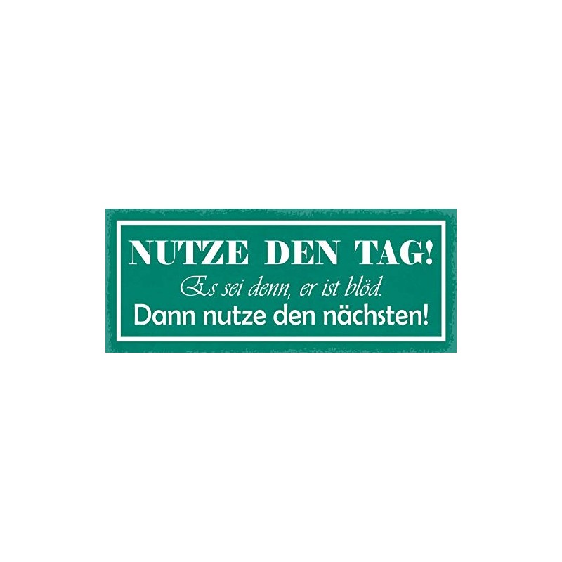 Schatzmix Saying "Use the Day" Metal Sign Wall Decoration 27