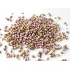 Lowhill Valley Heather Flower Herbal Tea - The Tranquil Elixir