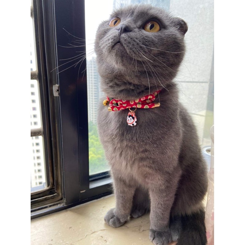 PetSoKoo Bowtie Cat Collar With Bell Bowknot With Cute Cat