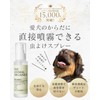 犬 虫除けスプレー 100ml×2 まとめ買いお得セット 植物成分で虫を寄せ付けない 犬 アロマ 虫除け なめても安心な天然由来成分処方 直接噴霧OK