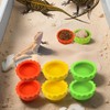 Meow&Woof Reusable Silicone Reptile Feeding Cups – Bearded Dragon Water