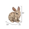 Hi-Line Gift 87650-D Small Driftwood Rabbit Statue