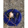 Children's Crab Fishing Drop Net, 10m line, Blue or Pink