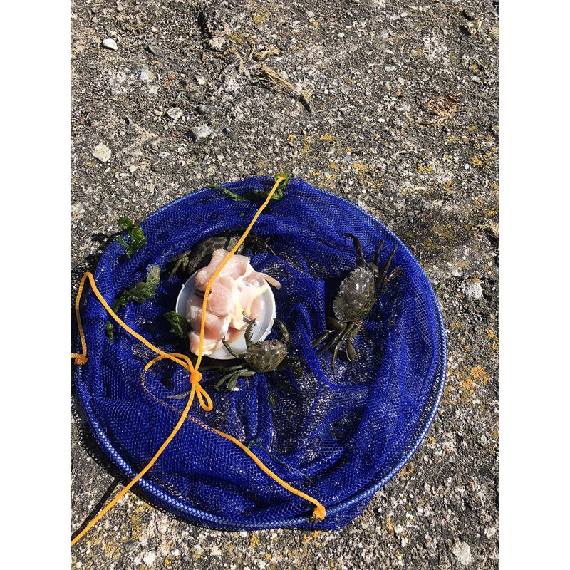 Children's Crab Fishing Drop Net, 10m line, Blue or Pink