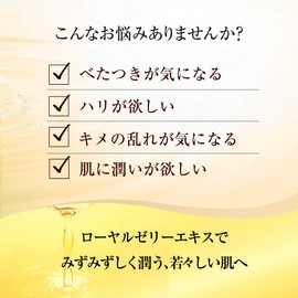 Yamada Beefield RJ Lotion N (Oil-Based Skin), Lotion 4.2 fl oz (120 ml)