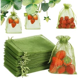 Shintop 100Pcs Fruit Protection Bags, 4x6 Inch Green Strawberry Netting Cover Drawstring Mesh Bags Pest Barrier for Blueberry Small Fruit
