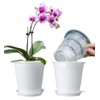 Meshpot 4 Inches Clear Plastic Orchid Pots with Holes Succulent