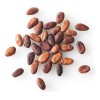 Cacao Seco En Grano