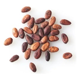 Cacao Seco En Grano