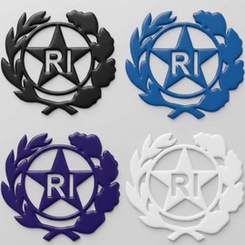 StampaGenerale® Bollino Logo RI (13mm) PVC Effetto 3D Adesivo Transfer per Targa Auto e Moto Storica d’Epoca Restauro Estetico Targhe, Resistente Esterno (4, Nero)