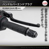 Daytona 37727 Premium Zone Motorcycle Bar End Kawasaki (M6) KIRIKO