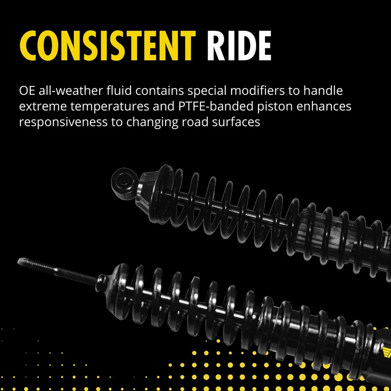 Monroe Load Adjusting 58620 Suspension Shock Absorber and Coil Spring