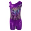 Gogokids Gymnastics Leotards for Girls, Kids Glitter Stars Dance Unitards