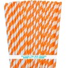 Stripe Paper Straws - Party Supply - Orange White -