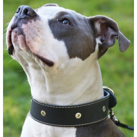Black Genuine Leather Studded Dog Collar, 1.75" Wide. Fits 18.5"-22" Neck. for Large Breeds Boxer, Bulldog, Pitbull.