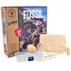 KandyToys Fossil Dig Kit | Science Kit