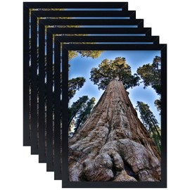 YYTRABAJO 8x12 Picture Frame Black Photo Frames Display for Wall and Tabletop, Set of 6