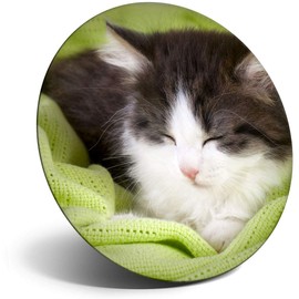 Destination Vinyl ltd Magnet for Refrigerator, Fridge - Cute Sleeping Kitten Cat for Office, Cabinet and Whiteboard, Magnetic Stickers, 15677