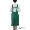 Canvas (Canvas) Fitted Apron Medium [Twill Fabric/Length 90 cm] ga5390