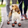 Dog Boots, Set of 4 Waterproof Dog Shoes with Reflective