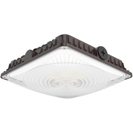 Pvilub LED Canopy Lights 40W: 5600LM Canopy LED Lights - Surface Mount Outdoor Lighting for Workshop Carport Ceiling 1 Pack 2026 New Model