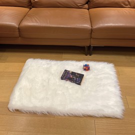 Faux Sheepskin Rug Fluffy Rug,Fluffy Area Small Rugs Shaggy Rugs for Bedroom Rug Fluffy Sofa Floor Carpet Home Decoration White Rugs (White 23.6 x 35.4 inch)
