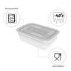 Rotho Freeze Freezer Box 3.7 L with Lid, Plastic (PP)