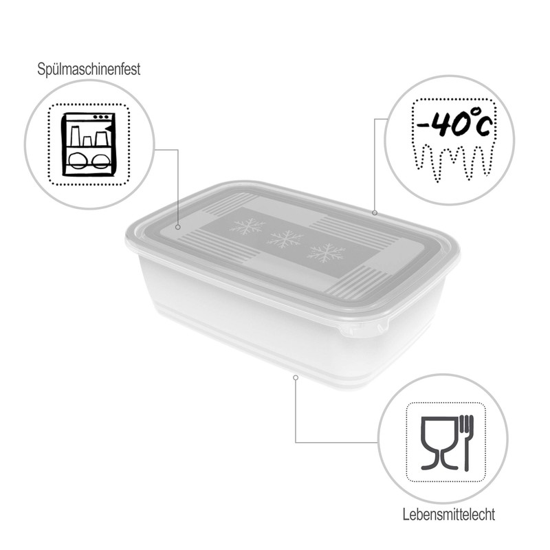 Rotho Freeze Freezer Box 3.7 L with Lid, Plastic (PP)