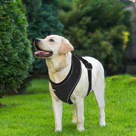 AIITLE No Choke Dog Harness with Triple-Layer Mesh, Reflective & Adjustable Chest Belt, Easy On/Off for Pekingese, Schnauzer – Durable for Daily Walks, Parties (L, Black)