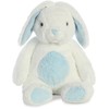 Aurora World Quizzies 16" Bun Bun Bunny Stuffed Bunny (Blue)