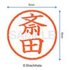 Shachihata Stamp Name 6 Correction Stamp XL-6 Stamp Face 0.2