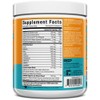 AminoLean Hydrating Electrolyte Powder and Recovery Drink with Sea Minerals,