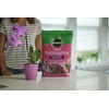 Miracle-Gro Orchid Potting Mix Coarse Blend, For Indoor or Outdoor