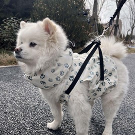 Hakona Dog Summer Clothes Cool Vest and Dog Cool Neck Cooler, Dogs, No Ice Packs, Cooling Goods, For Summer Heatstroke Prevention, Dog Cooling Vest, For Walks, Cooling Towel, Cooling Vest, Dogs,
