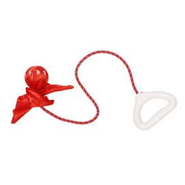 CORHAD Elastic Rope Workout Ball for Posture Improvement and Core Strengthening