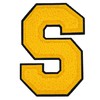 1 PCS 4.2" Yellow Chenille Letter Patches, Iron on Patches