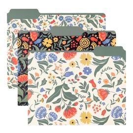 Steel Mill & Co Cute File Folders, Set of 9, Document Organizer for Filing Cabinet, Decorative Letter Size Files, Wanderlust