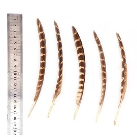 MAHAVIMOKSA 200pcs Mixed 8 Styles Natural Feather for DIY Craft Earring Wings Wedding Party Home Decoration