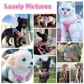 PETPUBGNZS Soft Small Dog Harness and Leash Set Mesh Puppy Harnesses Leash Easy Walk Dog Harness Vest Adjustable Reflective No Pull Dog Harnesses for Small Dogs Cats (Pink Blue,M)