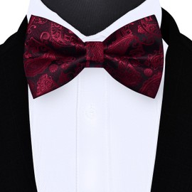 GUSLESON Bow Ties for Men Pre-tied Adjustable Paisley Bowties for Wedding Business Party, Burgundy Black, general